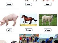 -贝乐少儿英语·全外教(滨江中心)