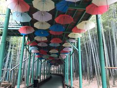 -陶祖圣境风景区