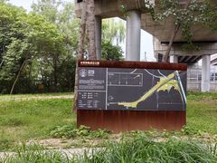 -东升八家郊野公园