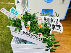 -陆家嘴中心绿地