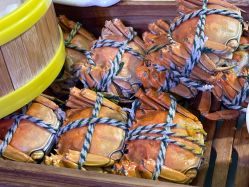 -大喜成国际宴会中心(金华店)