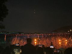 -长田漾湿地公园