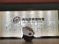 -青岛贝壳博物馆