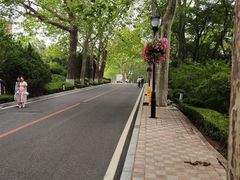-棒棰岛宾馆景区
