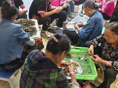 -山菌美食苑(振兴路店)