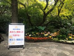 -汇龙潭
