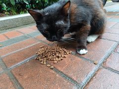 -来伊份(双桂坊店)