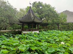 -上海醉白池公园