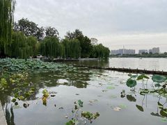 -济南大明湖景区