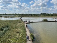 -盐城丹顶鹤湿地生态旅游区
