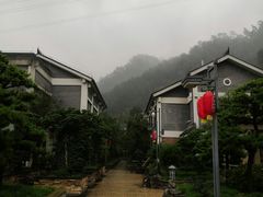 -老幺泉水鸡