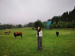 -武陵山森林公园