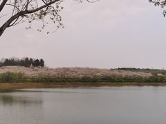 -凤凰沟景区