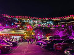 -枇杷园食为鲜火锅(南山店)