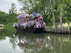 -溱湖国家湿地公园