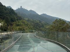 -缙云山景区