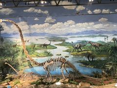 -自贡恐龙博物馆