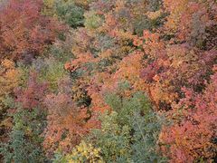 -克什克腾世界地质公园青山景区