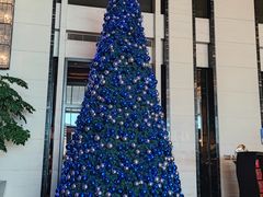 -富力希尔顿酒店·地阔自助餐厅