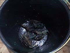 -海盗餐厅