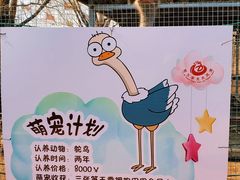-第五季龙水凤港生态露营农场