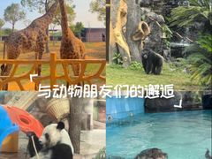 -祥源·阜阳生态乐园