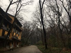 -灵谷景区