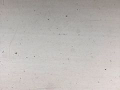 -沈坚强游泳俱乐部(长征分部)