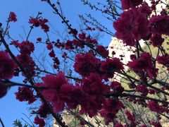-昆嵛山石门里景区