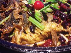 -老板恋上鱼(恒隆广场店)