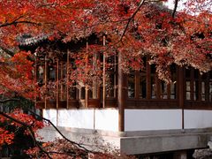 -郭庄景区