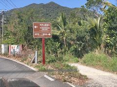 -海南热带雨林国家公园吊罗山景区