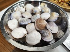 蛤蜊-盈田盈粥庄(博山东路店)