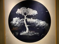 -青桃餐厅
