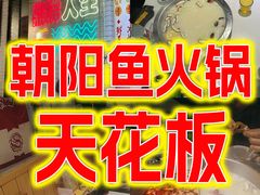 -京门活鱼馆·鱼火锅(百子湾（原红庙）店)