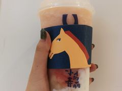 -春丽小马(济南恒隆广场店)