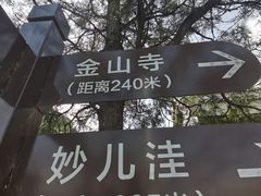 -阳台山自然风景区