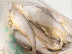 -莆鑫海鲜城(浏河店)
