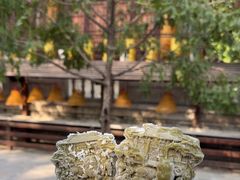 -西安大兴善寺