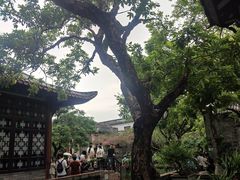 -东莞市可园博物馆