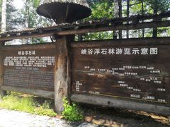 -峡谷浮石林景区