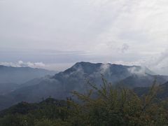 -大岭沟猕猴桃谷风景区