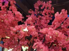 -探花·意境江南菜·唐伯虎文化体验店·松鼠桂鱼(观前店)