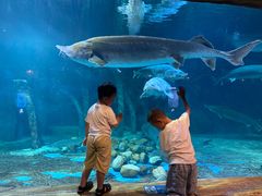 -华夏文旅海洋公园