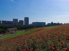-长春世界雕塑园冰雪艺术天地