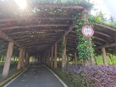 -重庆医科大学附属第一医院(金山院区)