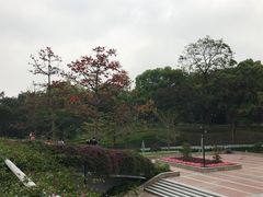 -云溪植物园