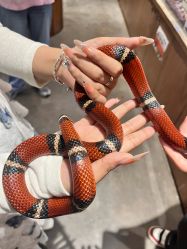 -Zoolung Zoolung动物主题公园(海信广场店)