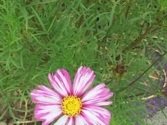 -南通洲际绿博园