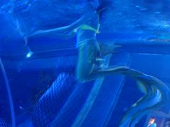 -成都浩海立方海洋公园